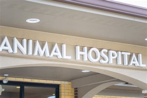 buckhead animal hospital|affordable animal hospitals near me.